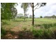 Alligator Creek QLD 4740