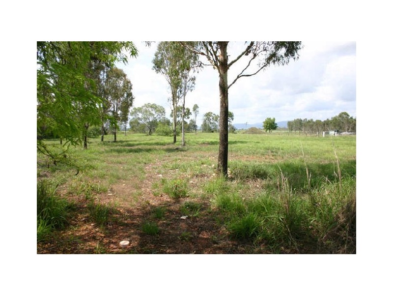 Alligator Creek QLD 4740