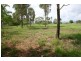 Alligator Creek QLD 4740