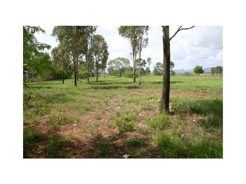 Alligator Creek QLD 4740