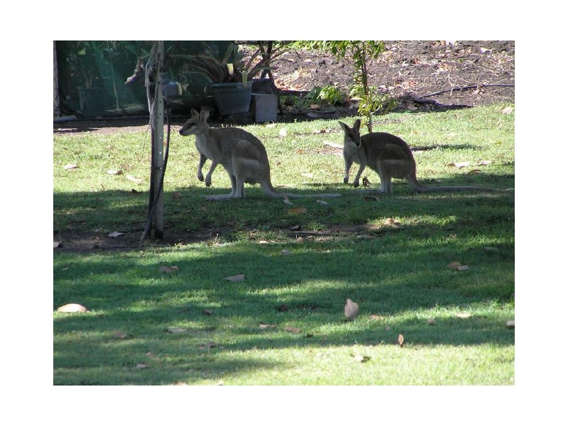 Freshwater Point QLD 4737