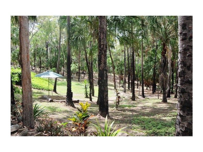 55 Gumnut Drive, Alligator Creek QLD 4740