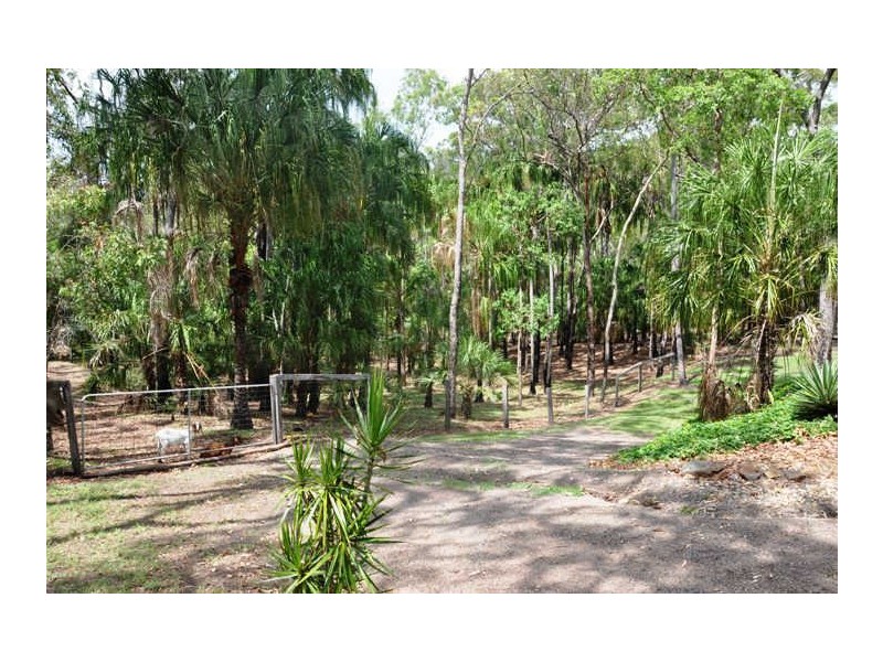 55 Gumnut Drive, Alligator Creek QLD 4740