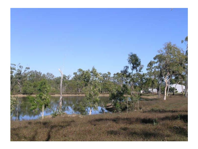 334 Greenhill Road, Ilbilbie QLD 4738