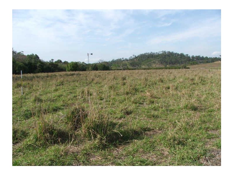 175 Mountney Road, Sarina QLD 4737