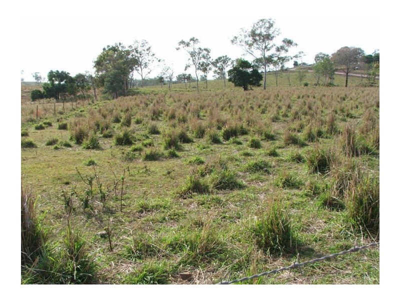 175 Mountney Road, Sarina QLD 4737