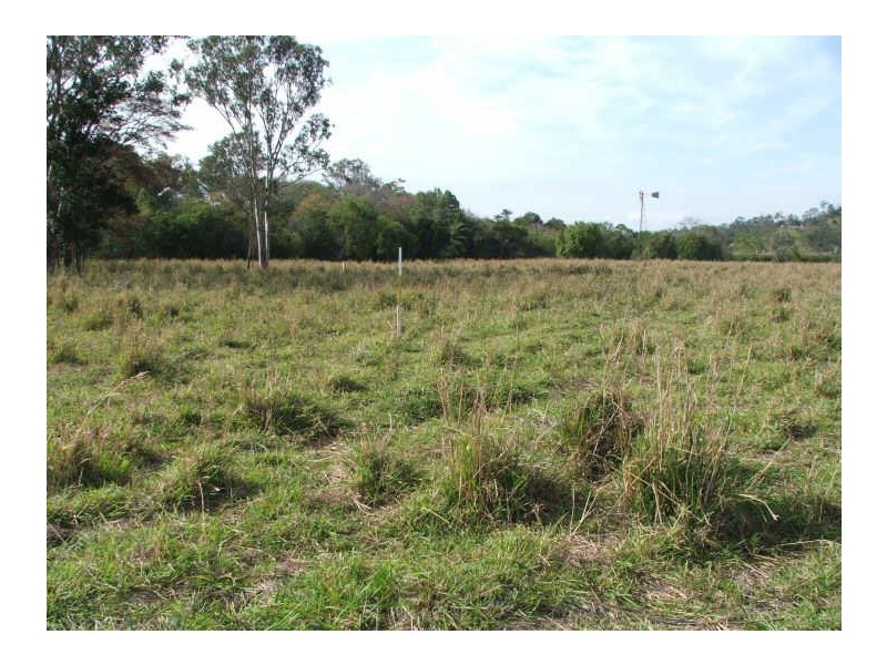 175 Mountney Road, Sarina QLD 4737