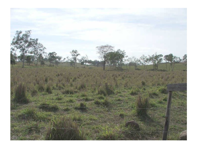 175 Mountney Road, Sarina QLD 4737