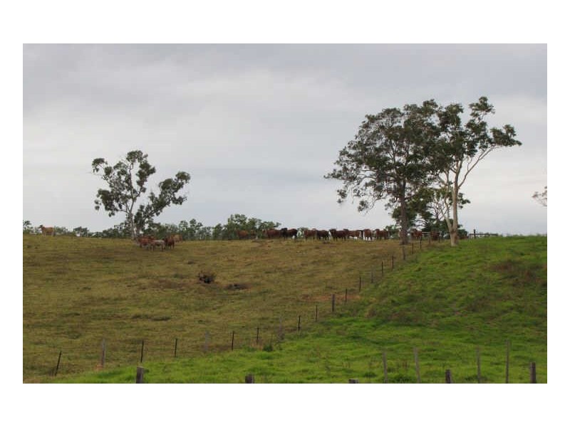 Lot 5 Carmila West Road, Carmila QLD 4739