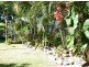 18 Deguara Avenue, Armstrong Beach QLD 4737