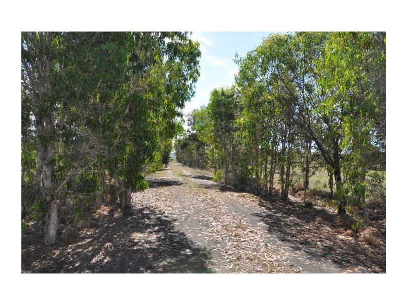 304 Greenhill Road, Ilbilbie QLD 4738