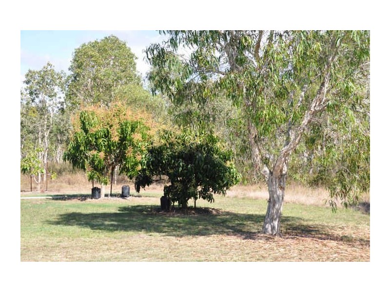 304 Greenhill Road, Ilbilbie QLD 4738