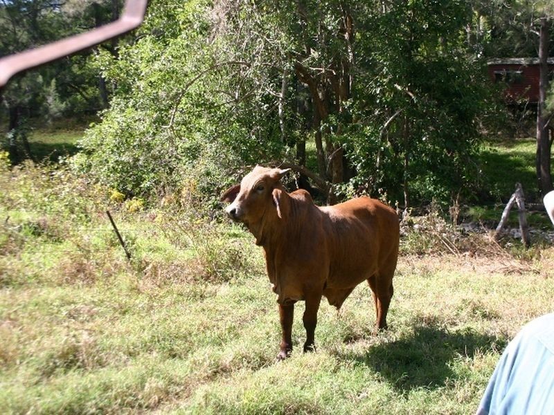 248 Middle Creek Road, Sarina QLD 4737
