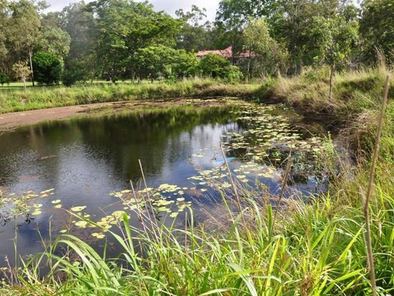 91608 Bruce Highway, Sarina QLD 4737