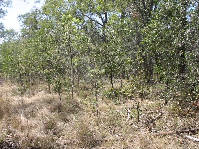 St Lawrence QLD 4707