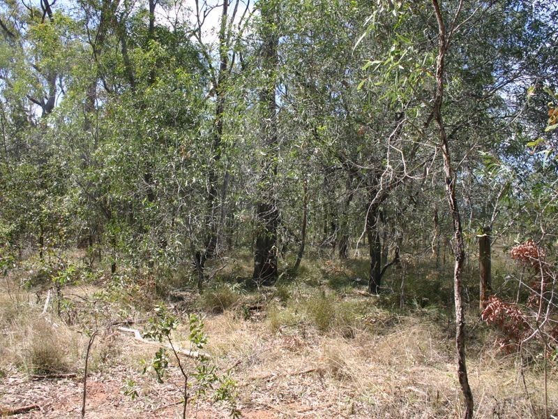 St Lawrence QLD 4707