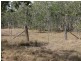 St Lawrence QLD 4707