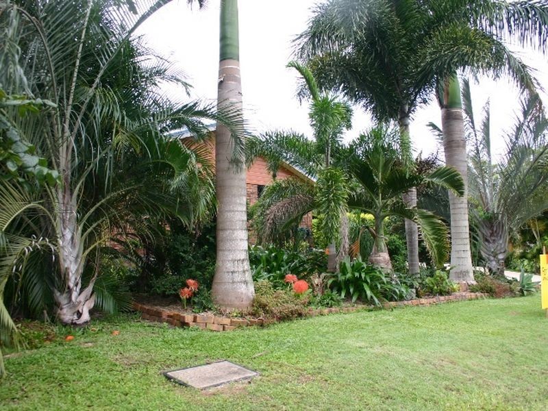 6 Katharyn Av, Grasstree Beach QLD 4740
