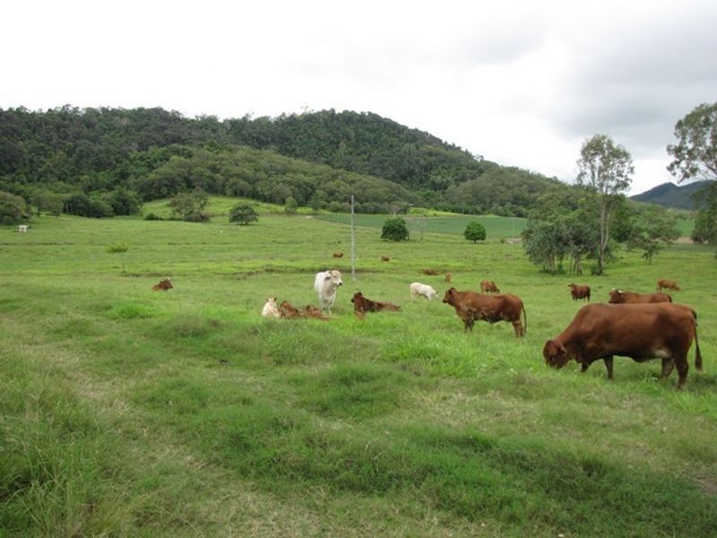 133 Rand Road, Koumala QLD 4738