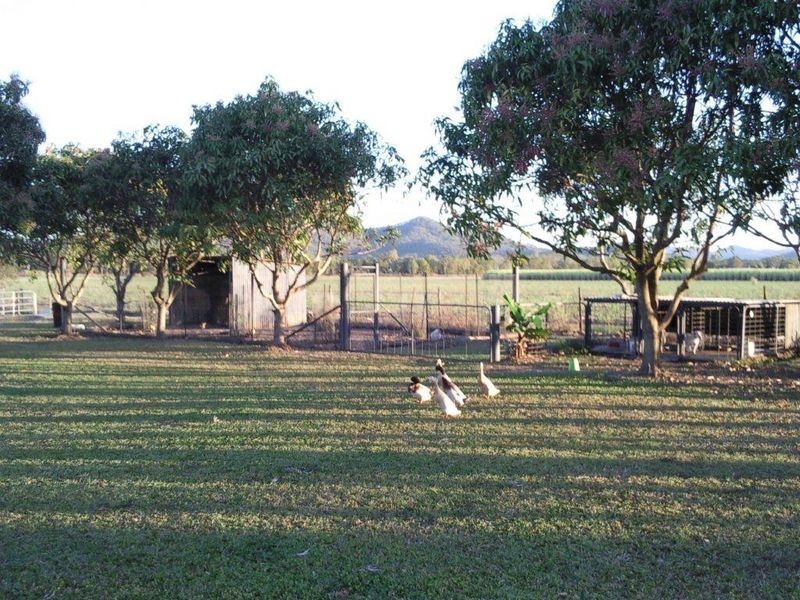 106 Tedlands Road, Koumala QLD 4738