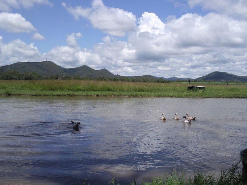 106 Tedlands Road, Koumala QLD 4738