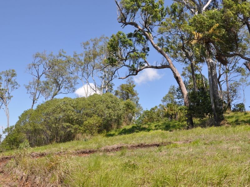 141 Gordonville Crt, Sarina QLD 4737