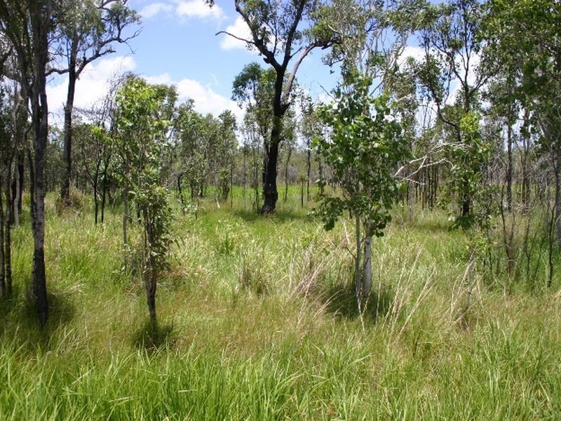 Lot 5 Bruce Highway, Ilbilbie QLD 4738
