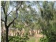 119 Rasmussen Avenue, Salonika Beach QLD 4740