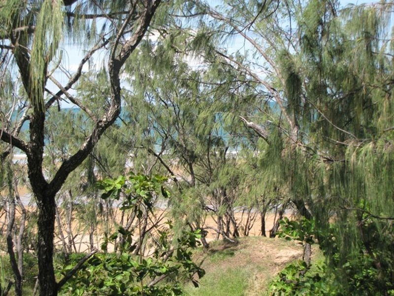 119 Rasmussen Avenue, Salonika Beach QLD 4740