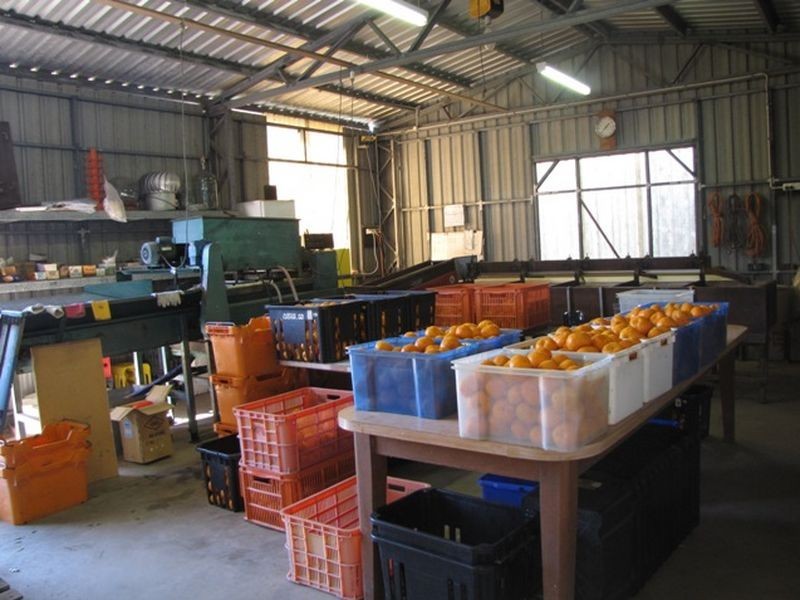 392 Price Road, Koumala QLD 4738
