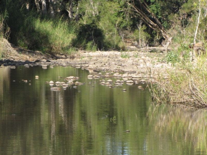 Lot 15 Palms Road, Carmila QLD 4739