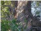 Ilbilbie QLD 4738