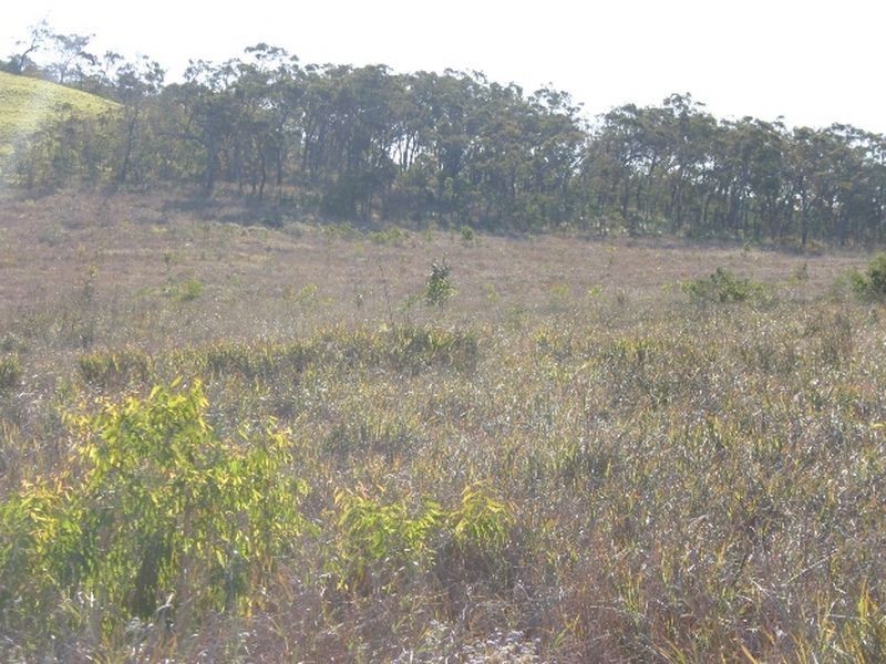 Ilbilbie QLD 4738