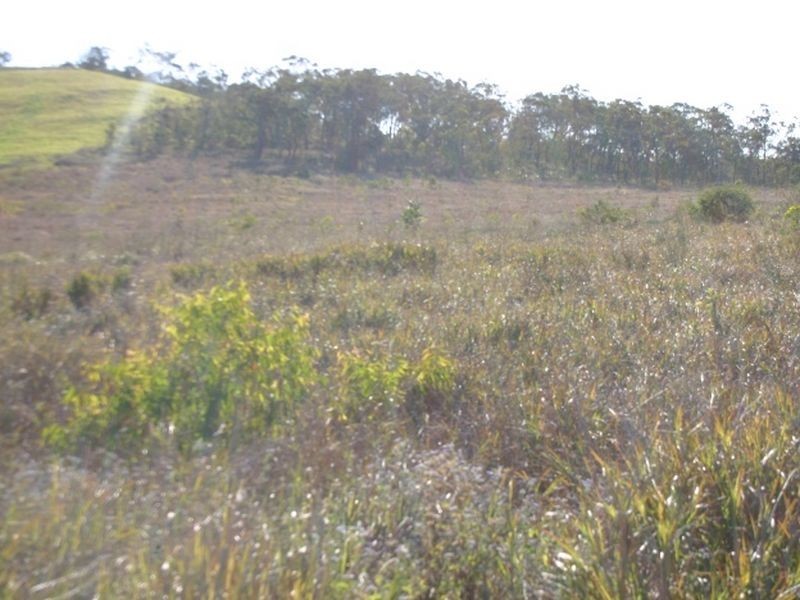 Ilbilbie QLD 4738