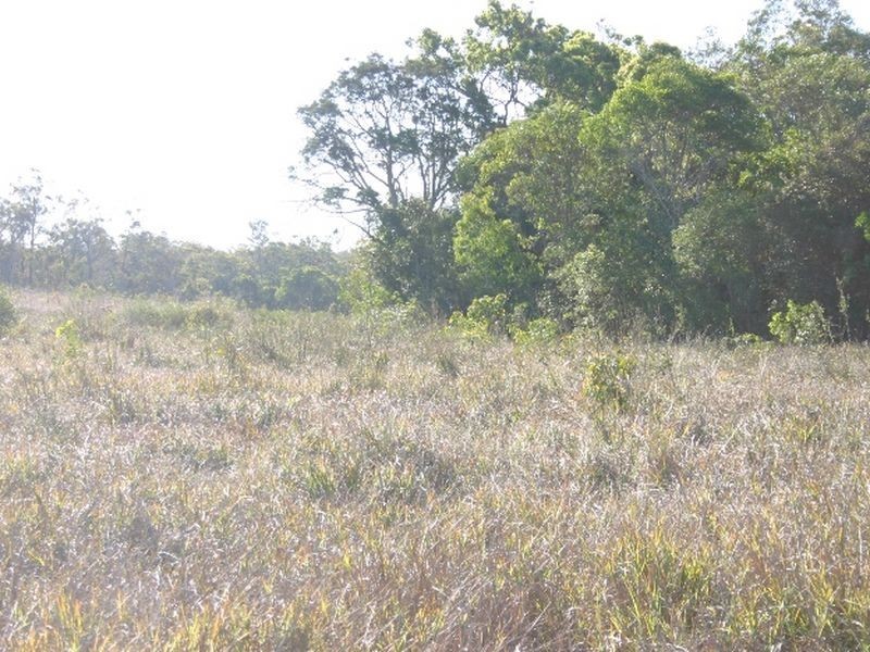 Ilbilbie QLD 4738