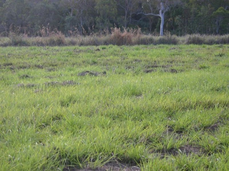 Lot 18 Grasstree Road, Sarina QLD 4737