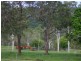 Carmila QLD 4739