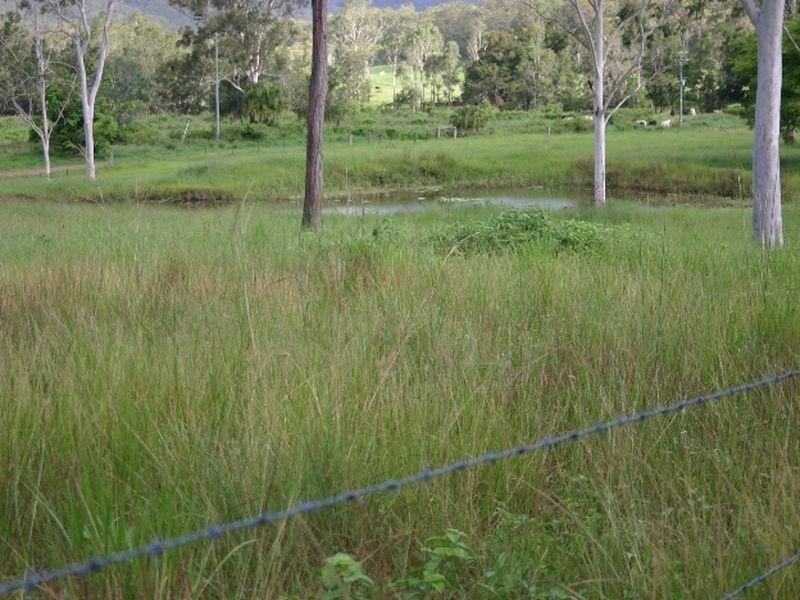 Carmila QLD 4739