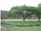 Carmila QLD 4739