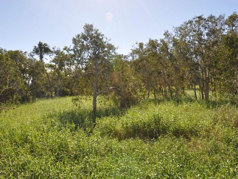 Lot 1 Gutschlag Road, Sarina QLD 4737