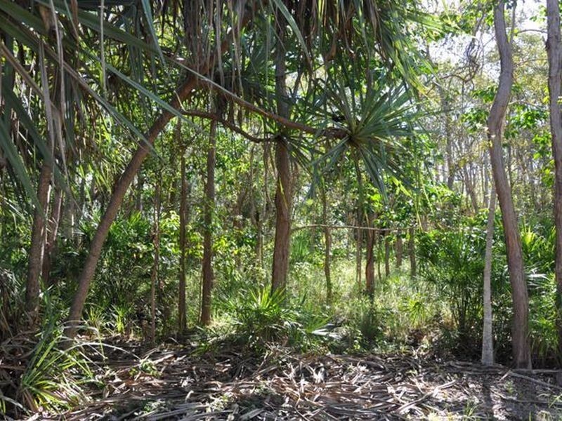 Lot 1 Gutschlag Road, Sarina QLD 4737