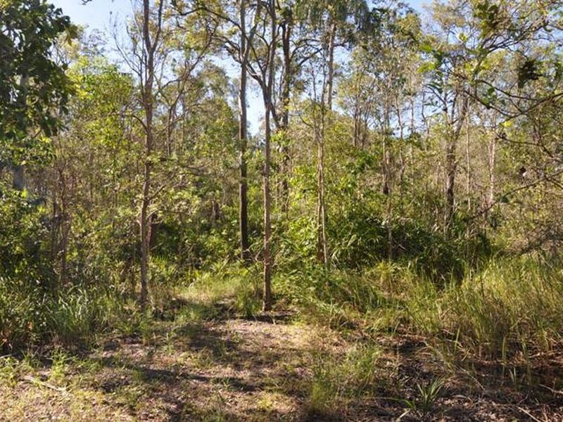 Lot 1 Gutschlag Road, Sarina QLD 4737