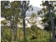 Freshwater Point QLD 4737