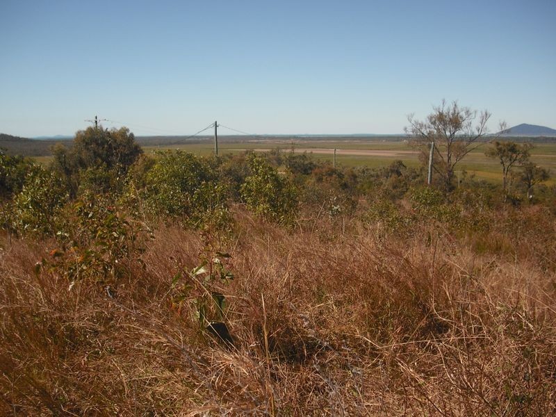 Lot 11 Howlands Road, Ilbilbie QLD 4738