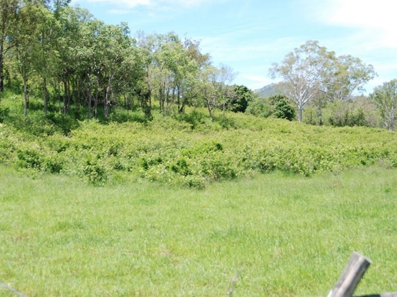 L 7 & L6 & Carmila Road, Carmila QLD 4739