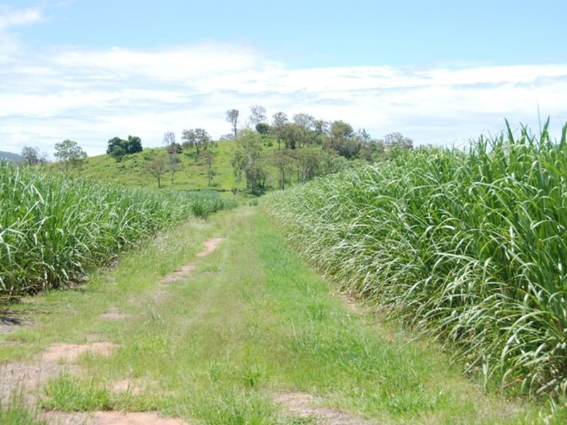 L 7 & L6 & Carmila Road, Carmila QLD 4739