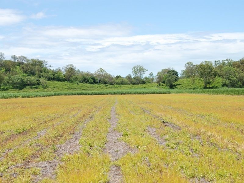L 7 & L6 & Carmila Road, Carmila QLD 4739