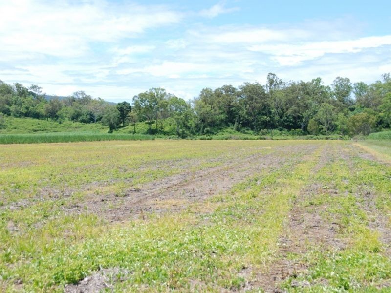 L 7 & L6 & Carmila Road, Carmila QLD 4739