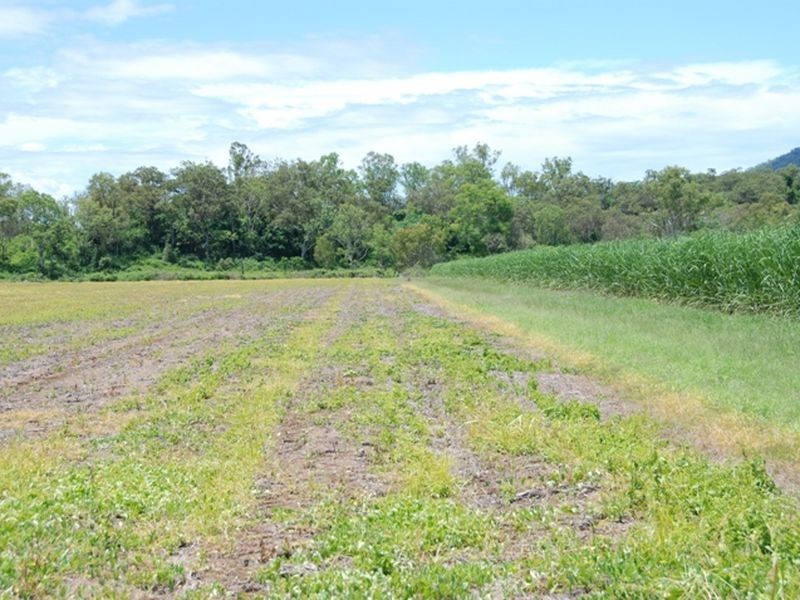 L 7 & L6 & Carmila Road, Carmila QLD 4739