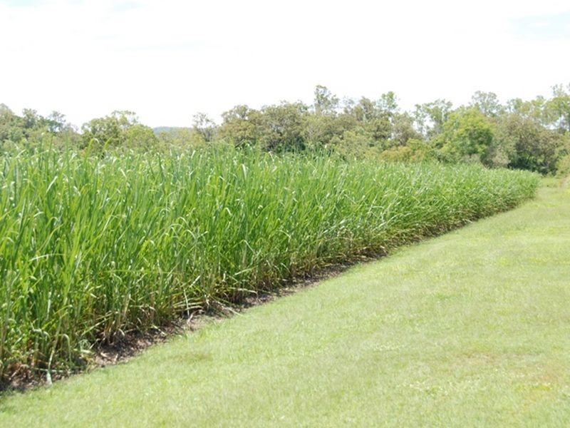 L 7 & L6 & Carmila Road, Carmila QLD 4739